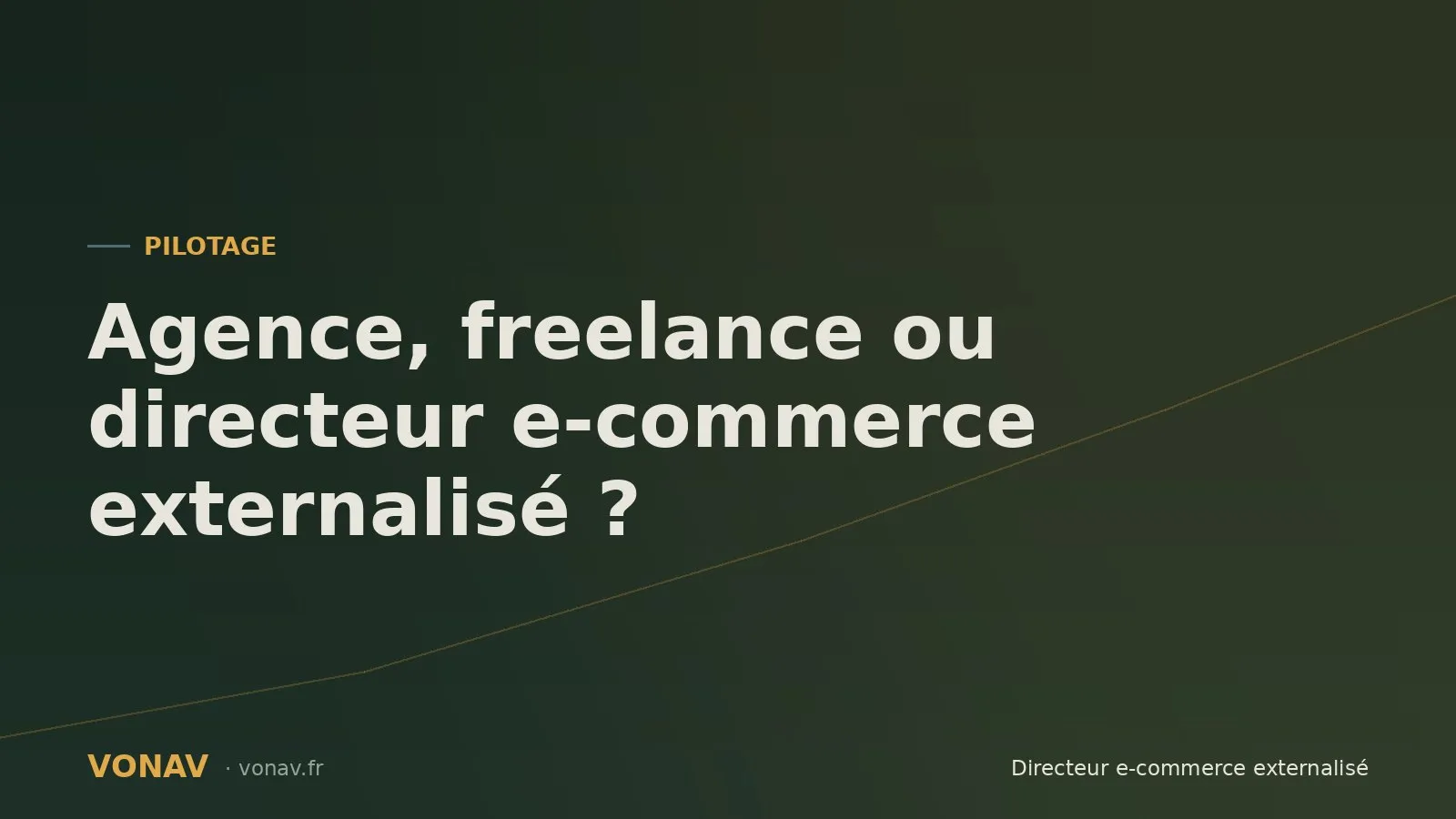 Couverture de l'article comparant agence, freelance et directeur e-commerce externalisé