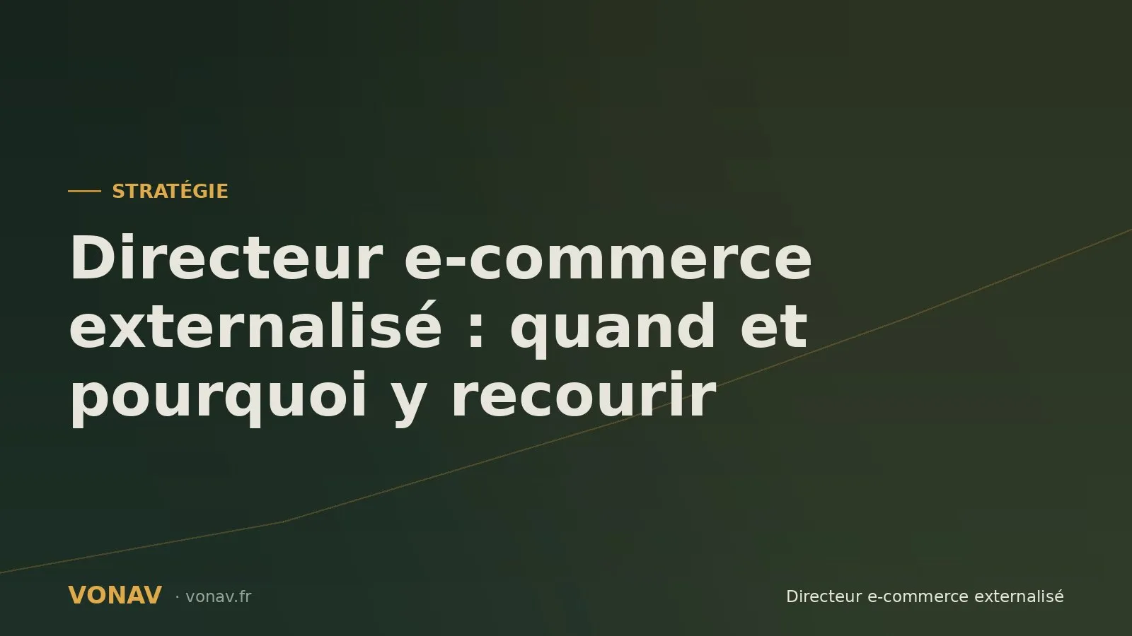 Couverture de l'article sur le directeur e-commerce externalisé