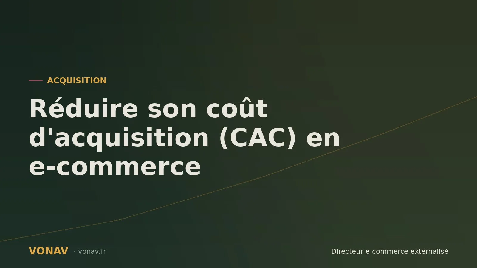 Couverture de l'article sur la réduction du coût d'acquisition en e-commerce